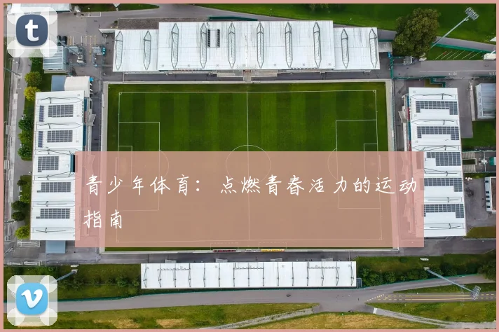 青少年体育：点燃青春活力的运动指南