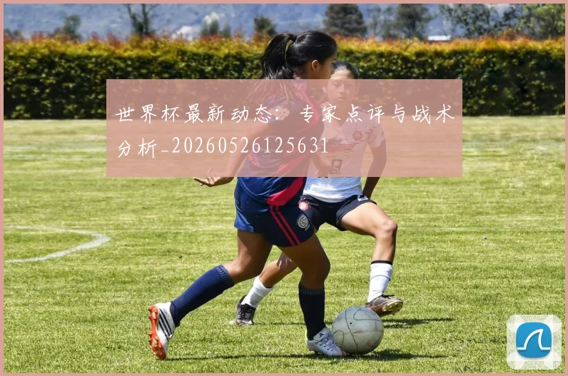 世界杯最新动态:专家点评与战术分析_20260526125631