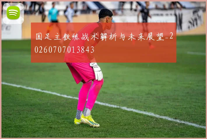 国足主教练战术解析与未来展望_20260707013843