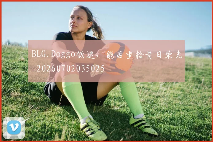BLG.Doggo低迷，能否重拾昔日荣光_20260702035025